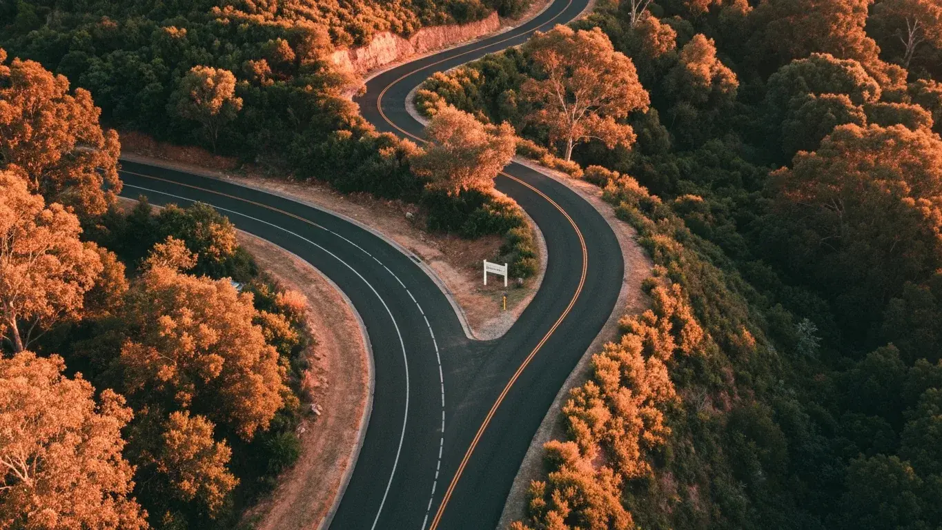 An aerial drone photograph of a winding road leading to a secluded rental, at golden hour