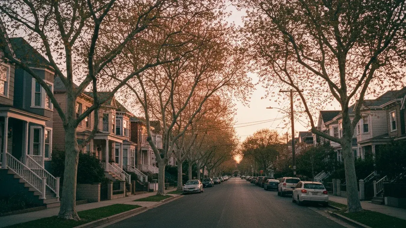 establishing travel photograph of a tree-lined residential street of rental homes, at warm dusk