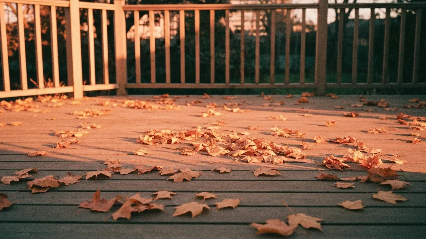 evocative photograph of autumn leaves scattered across a sunlit deck, warm and inviting